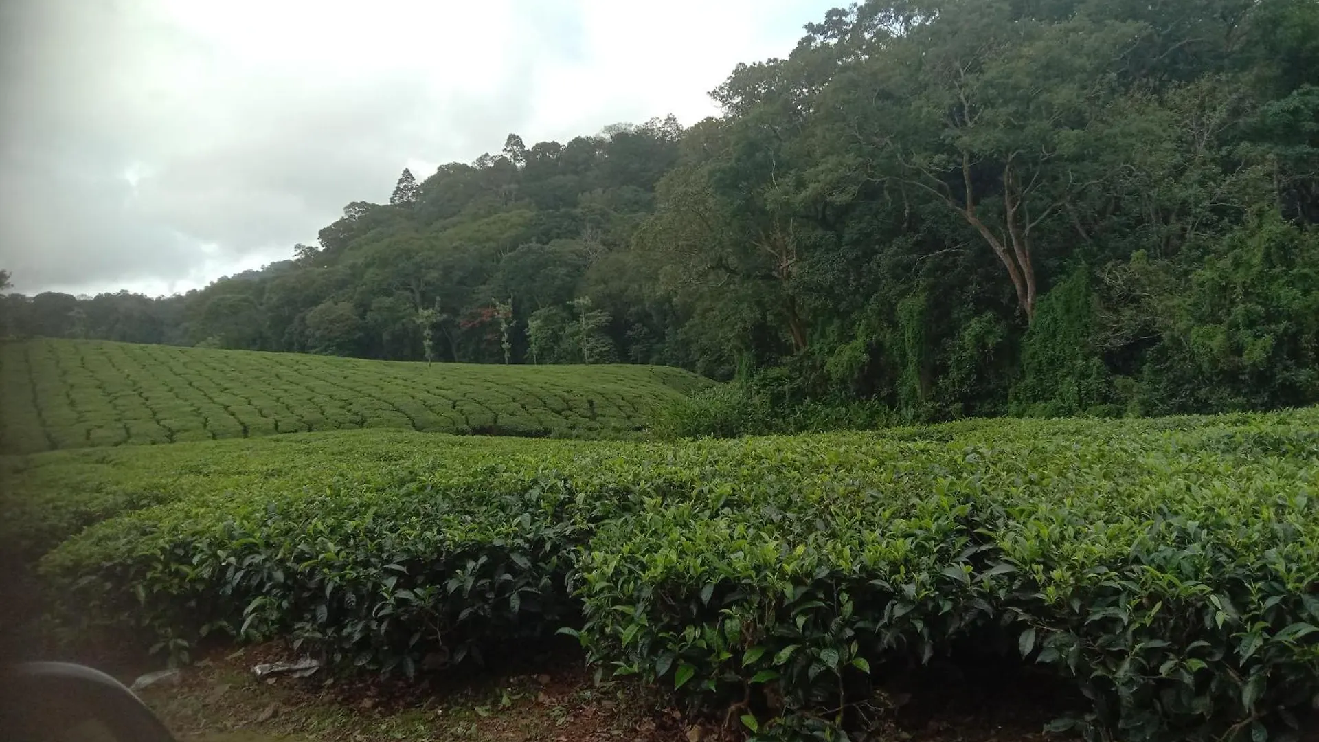Holiday home Sisiram River Side Munnar